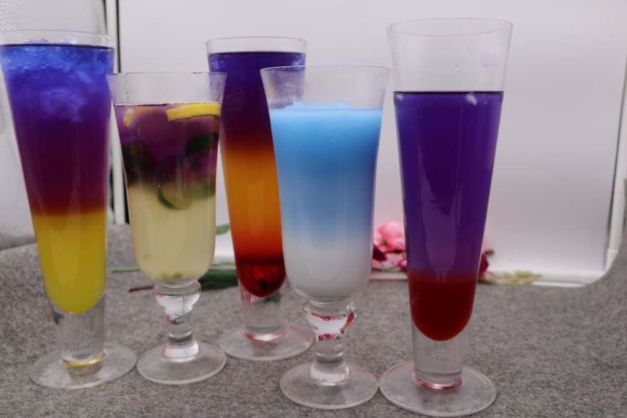 昆明泰国蝶豆花培训